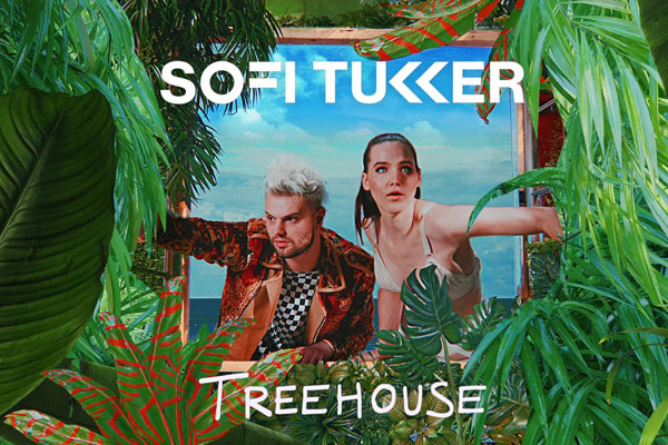 Sofi Tukker Treehouse アナログレコード LP 廃盤 レア