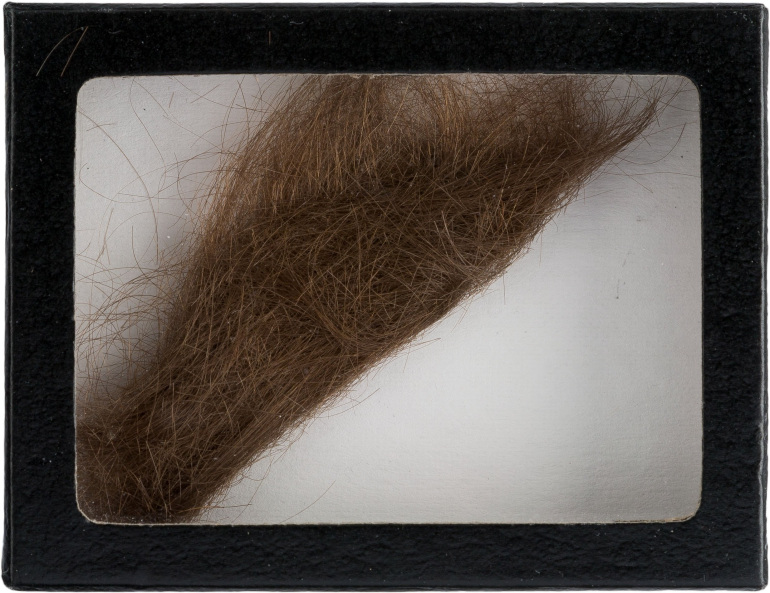 Как еще называется клок волос