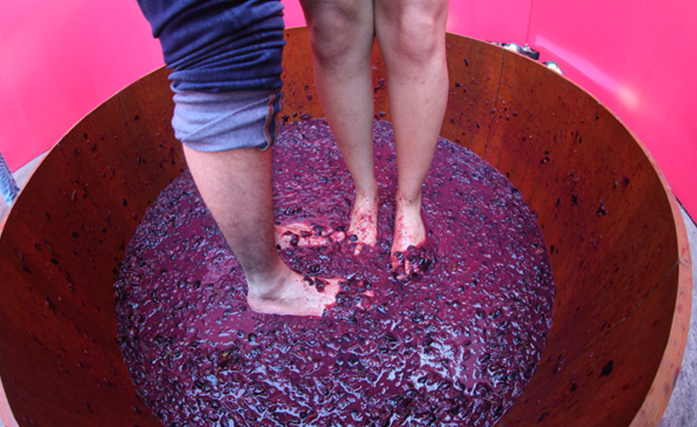 Grape-Stomping-at-SF'18-(1)